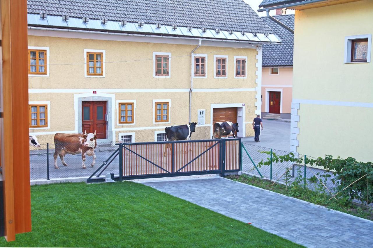 Apartment Jurijana - New 4-Bedroom Triplex With Sauna & Garden Bohinj Extérieur photo